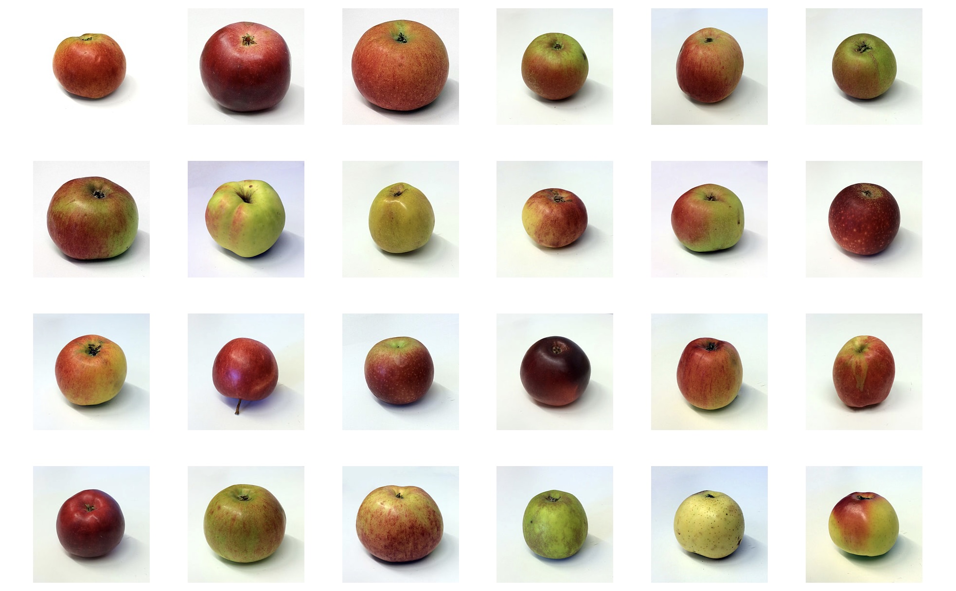 Apple Cultivars on Wikimedia Commons